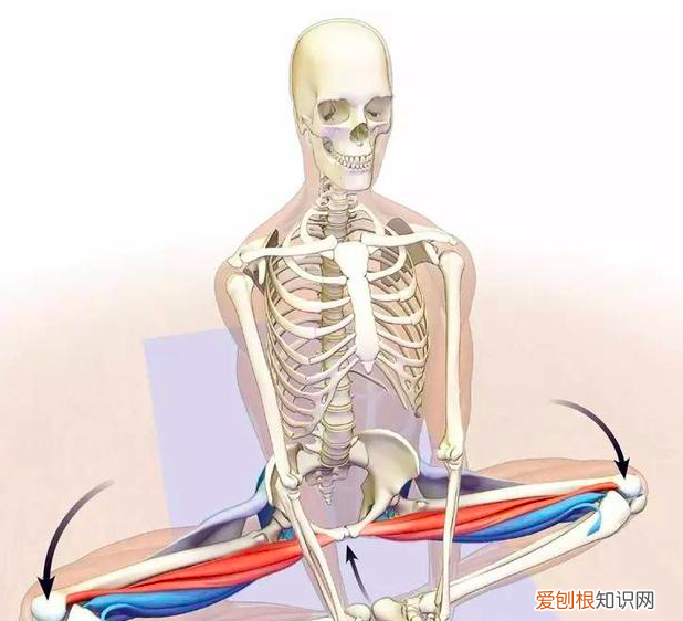 20多岁怎么练一字马才能成功 30岁还能练好一字马吗