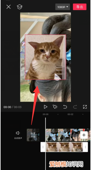 剪映溶图教程，怎么使用剪映导入