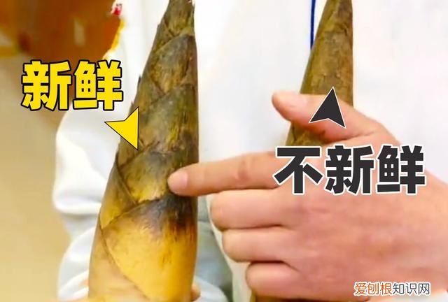 油焖春笋家常做法春笋到底焯不焯