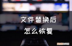 文件替换后怎么恢复,恢复被覆盖的文件数据