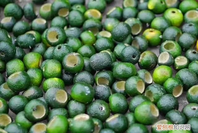 柑普茶怎么泡最好 小青柑柑普茶的冲泡方法