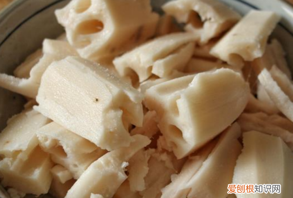 猪骨莲藕汤放什么材料,骨头莲藕汤的做法作用