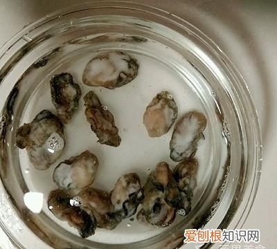 鲜味十足的海鲜粥快收藏去试试,简单又好吃的海鲜粥