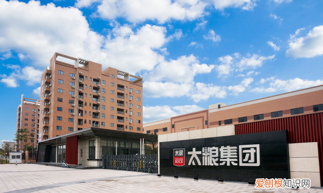 怎样做出松软劲道的米饭