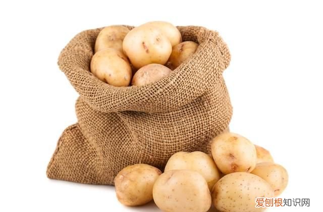 土豆怎样保存不发芽不变绿?去回答