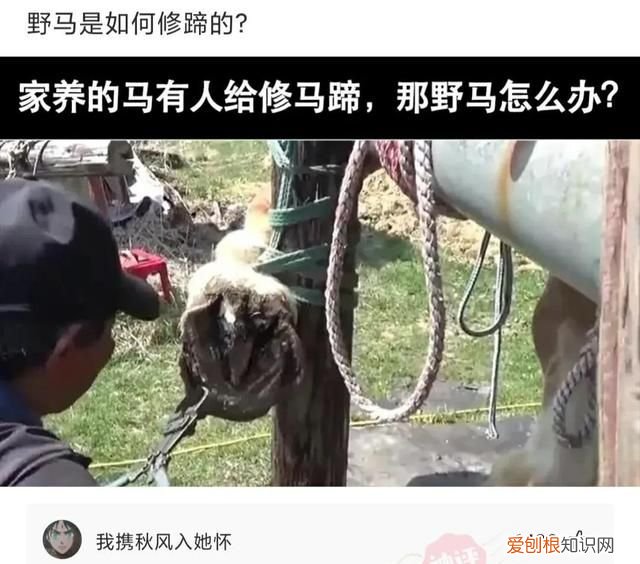 “老鼠贴粘到的，吃了不会犯法吧？”网友：争取死缓吧！哈哈哈