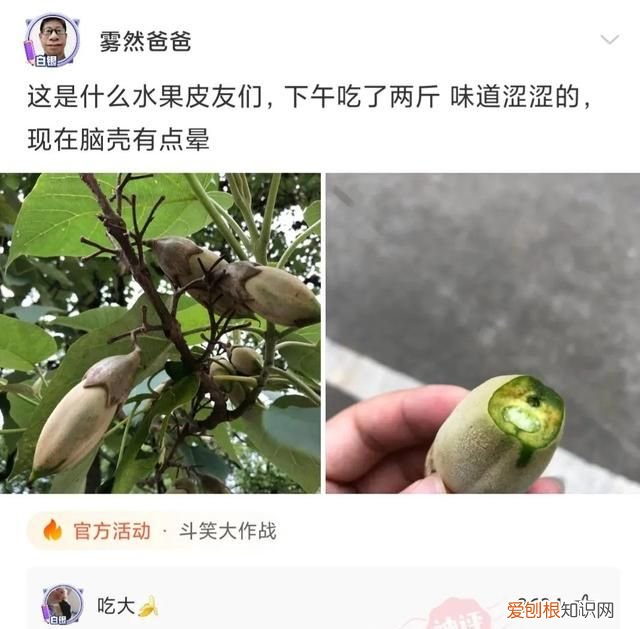 “老鼠贴粘到的，吃了不会犯法吧？”网友：争取死缓吧！哈哈哈