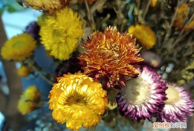 realme真我v3算不算一款好手机
