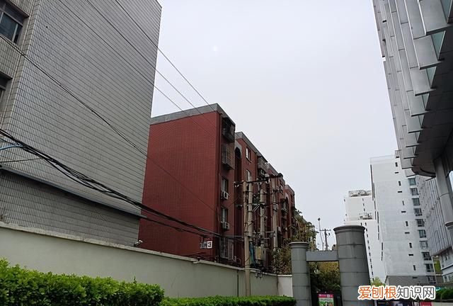 realme真我v3算不算一款好手机