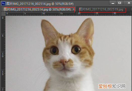 怎么把两张照片合成一张照片