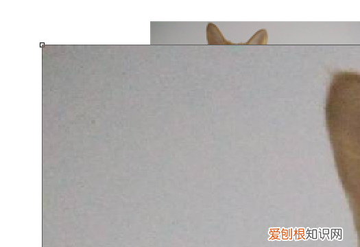 怎么把两张照片合成一张照片
