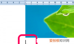插图清单如何自动生成，word如何自动生成插图清单目录