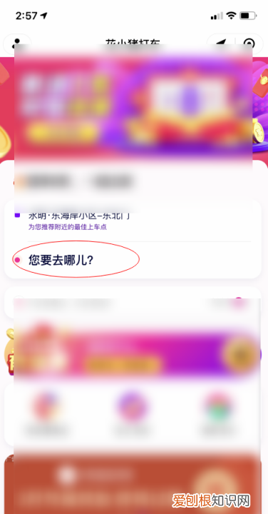 花小猪能预约打车，花小猪打车有没有预约功能