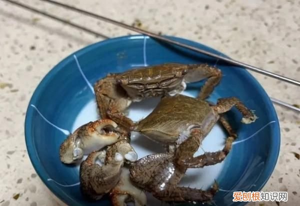 注意!这种螃蟹,慎吃!,螃蟹注意事项