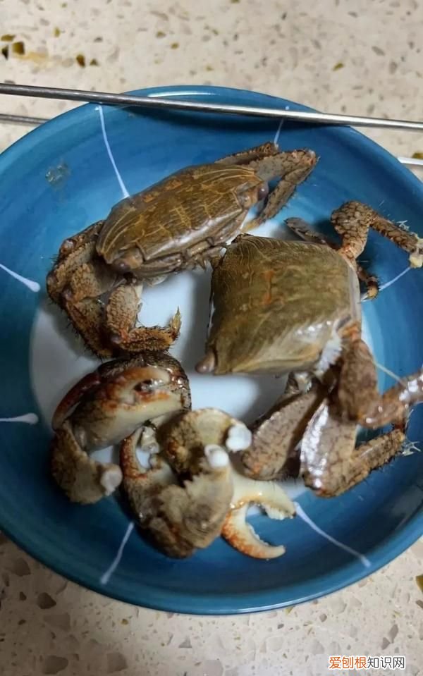 注意!这种螃蟹,慎吃!,螃蟹注意事项