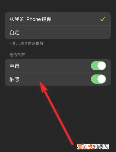 如何把苹果手机设置静音，苹果手机怎么调静音模式