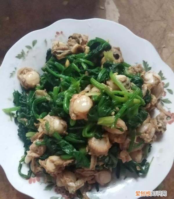 新鲜扇贝肉的做法，新鲜扇贝的做法大全
