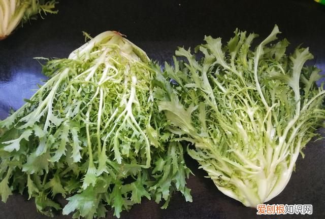 苦菊怎么凉拌才好吃推荐 苦菊除了凉拌还怎么做好吃