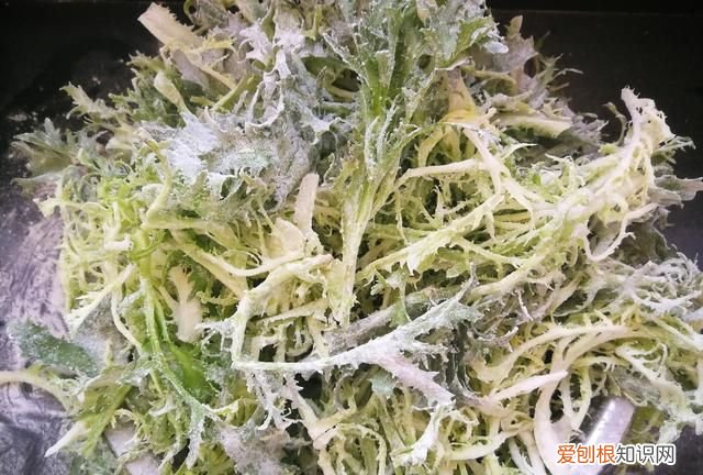苦菊怎么凉拌才好吃推荐 苦菊除了凉拌还怎么做好吃