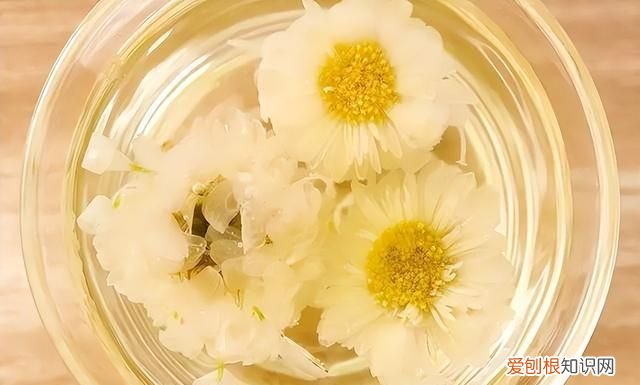 北方冬天喝菊花茶好吗,夏天最适合喝什么菊花茶