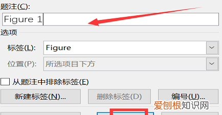 插图清单应该怎么生成，wps word插图索引怎么自动生成