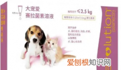 大宠爱是内外同驱，大宠爱体内外驱虫后还需要内驱药吗