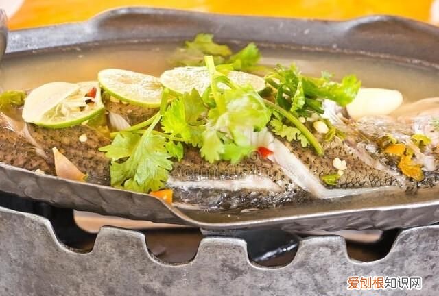 减肥不长胖的肉食排行榜,减肥必备低脂高蛋白的鸡胸肉