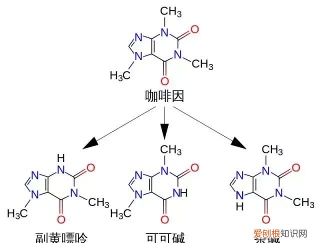 不含咖啡因的咖啡有提神功效吗 茶和咖啡为什么可以提神