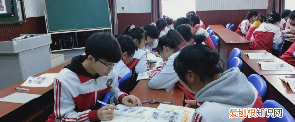 史政生可以选什么专业，选史政生可以报什么专业和大学