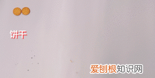 为什么说垃圾分类是道智商题