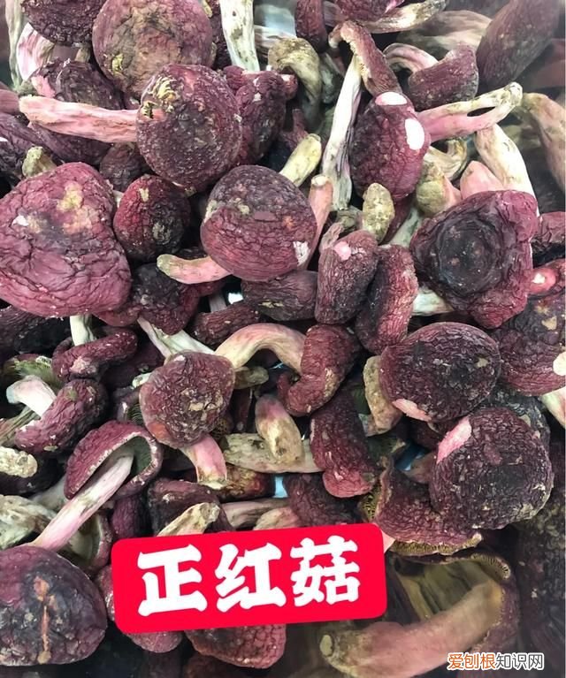 正宗红菇和假红菇辨别方法,正宗的红菇和假红菇怎么区分