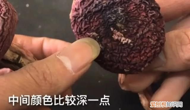 正宗红菇和假红菇辨别方法,正宗的红菇和假红菇怎么区分