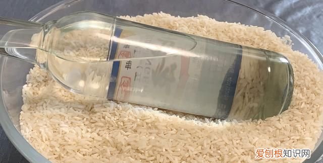 大米生虫教你怎么样除虫 大米长虫怎么处理干净呀