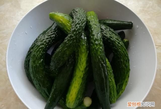 三伏天晒小米怎么晒出来好多虫子