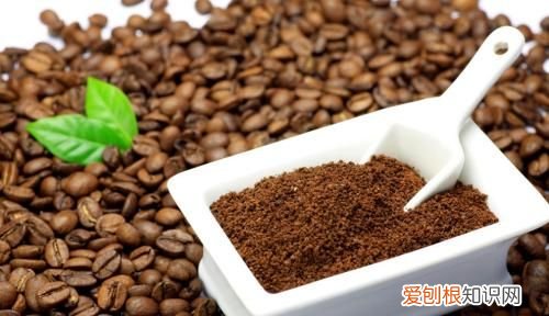 了解咖啡和咖啡的分类 爱喝咖啡的你了解咖啡吗英文