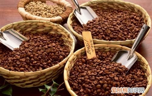 了解咖啡和咖啡的分类 爱喝咖啡的你了解咖啡吗英文