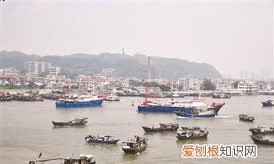 莲花山渔港开海 开海啰莲花山渔港百船竞发