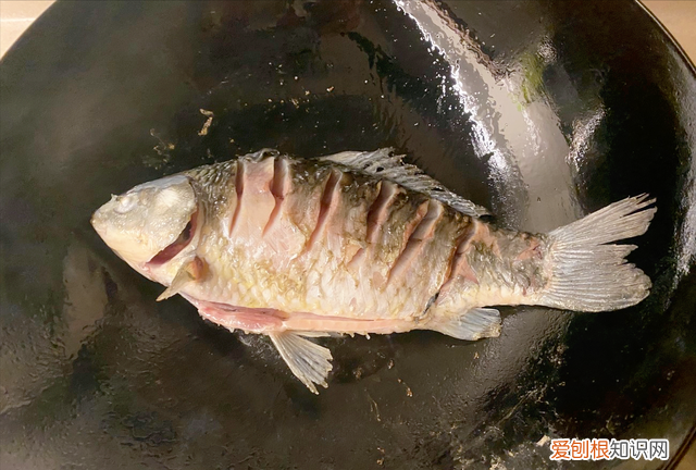 老年人必吃的六种食物有哪些 最适合老年人吃的7种食物