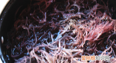 龙须菜怎么做