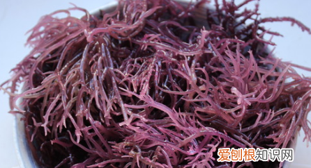 龙须菜怎么做