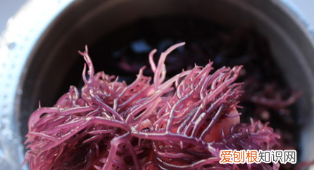 龙须菜怎么做