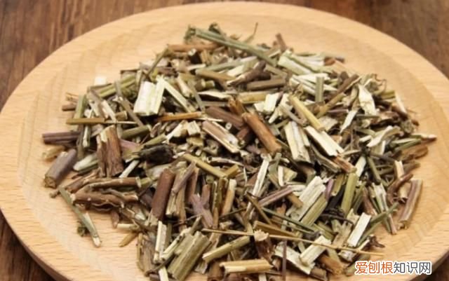 紫花香薷与香薷的区别 中药香薷与高原香薷区别