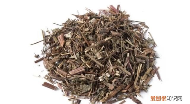 紫花香薷与香薷的区别 中药香薷与高原香薷区别