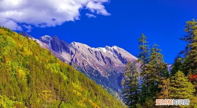 九寨沟介绍及旅游攻略