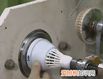 羽毛球是用哪边的鸟毛做的,羽毛球左边有鸟毛吗