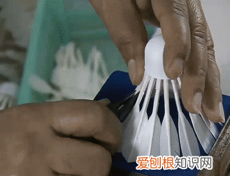 羽毛球是用哪边的鸟毛做的,羽毛球左边有鸟毛吗