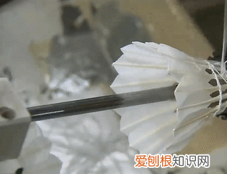 羽毛球是用哪边的鸟毛做的,羽毛球左边有鸟毛吗