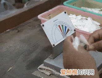 羽毛球是用哪边的鸟毛做的,羽毛球左边有鸟毛吗