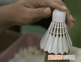 羽毛球是用哪边的鸟毛做的,羽毛球左边有鸟毛吗