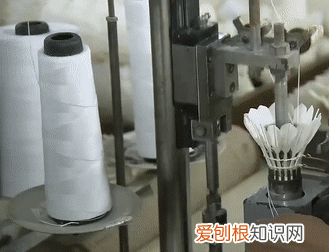 羽毛球是用哪边的鸟毛做的,羽毛球左边有鸟毛吗